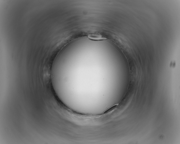 X0000096160040200802011306