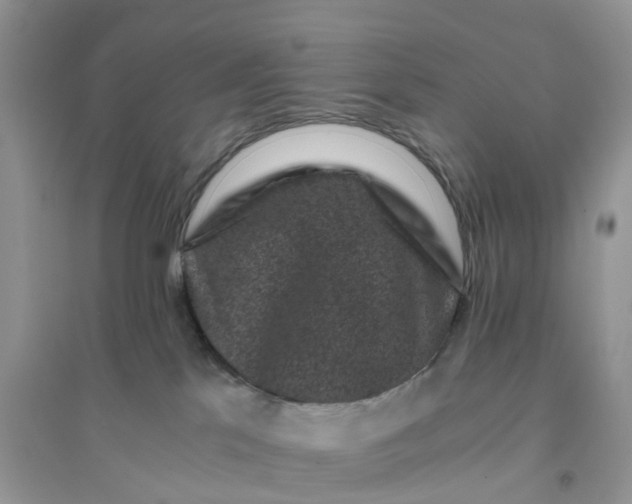 X0000096160041200802011306