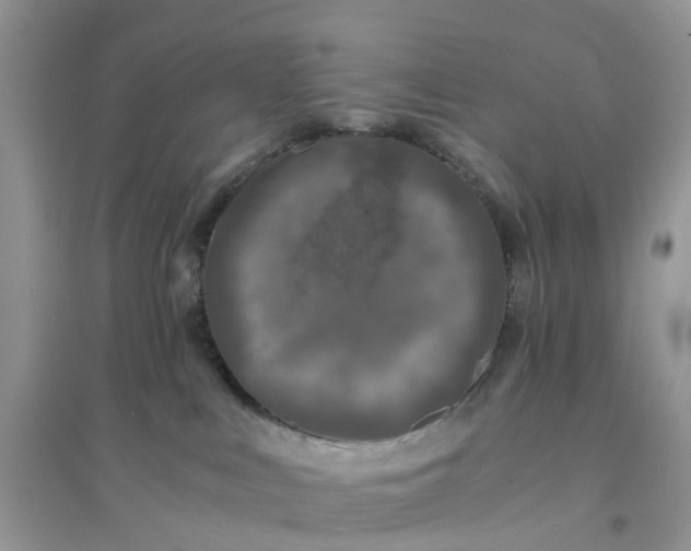 X0000096160043200802011306