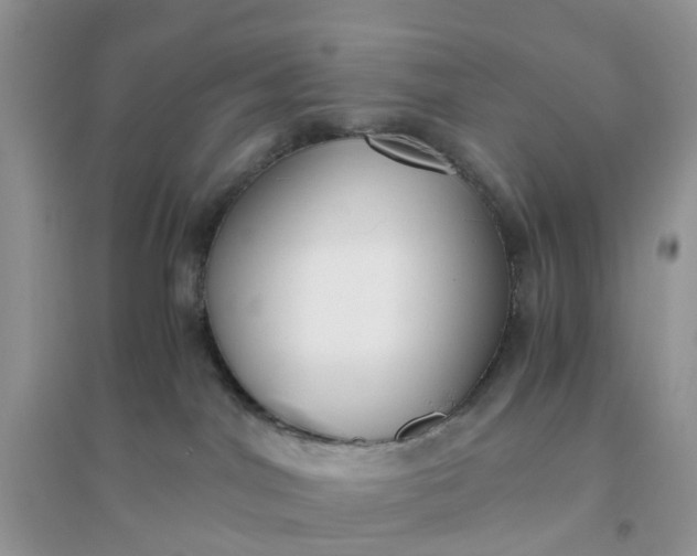 X0000096160044200802011306