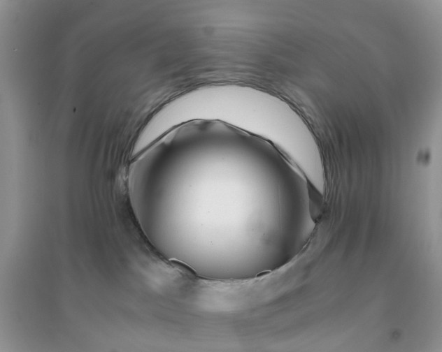 X0000096160045200802011306