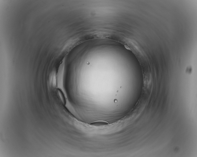 X0000096160046200802011306