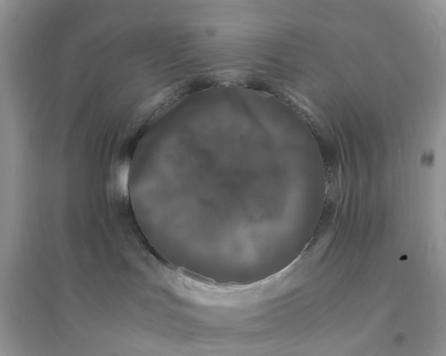 X0000096160047200802011306