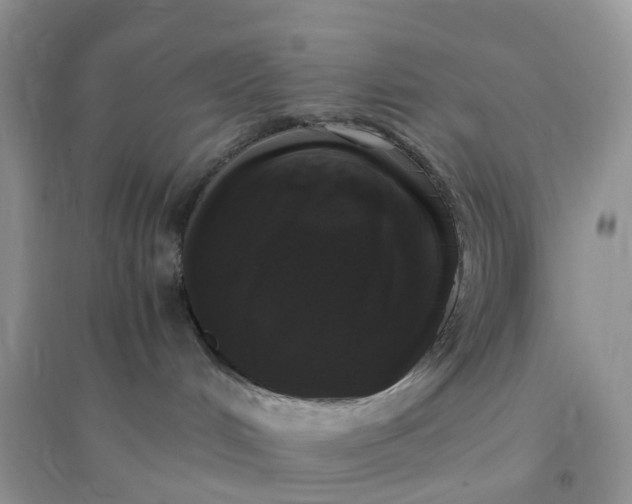 X0000096160048200802011306