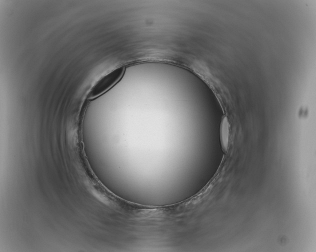 X0000096160050200802011305