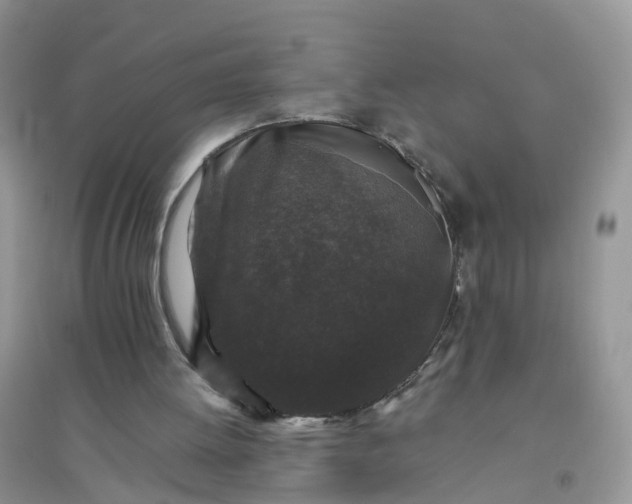 X0000096160052200802011305