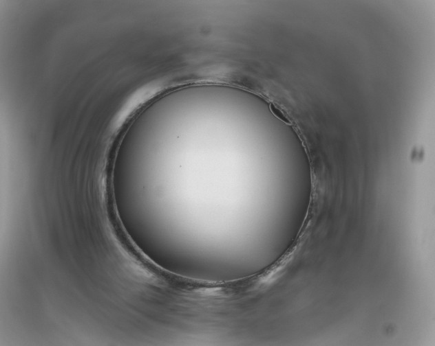 X0000096160054200802011305