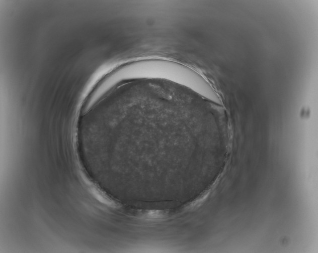 X0000096160056200802011305