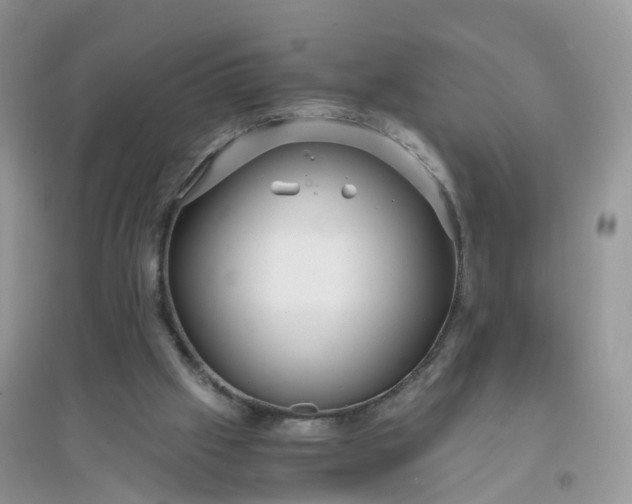 X0000096160057200802011305