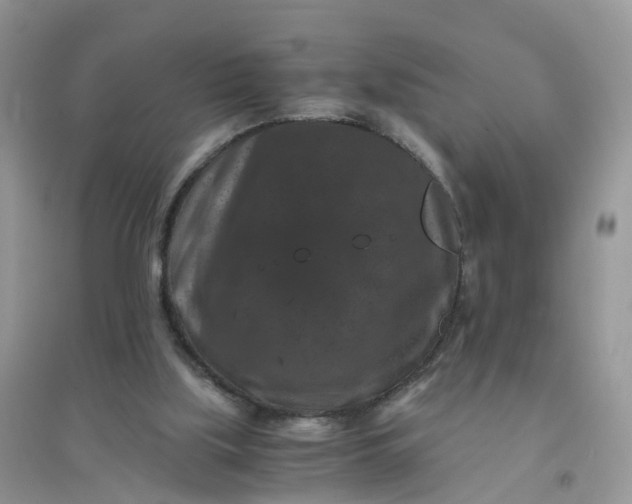 X0000096160059200802011305