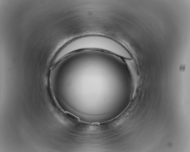 X0000096160060200802011305