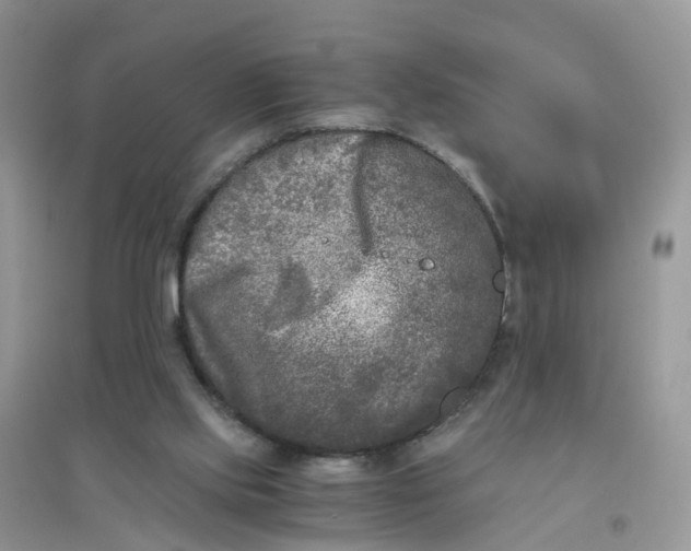 X0000096160061200802011305