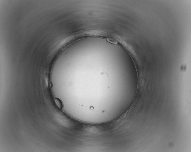 X0000096160062200802011305