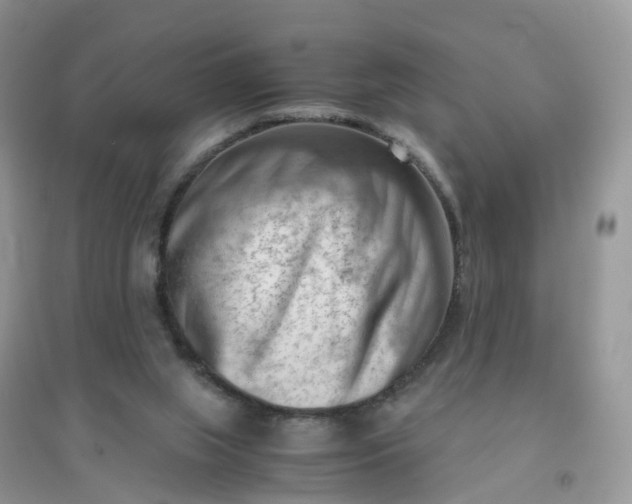 X0000096160063200802011305