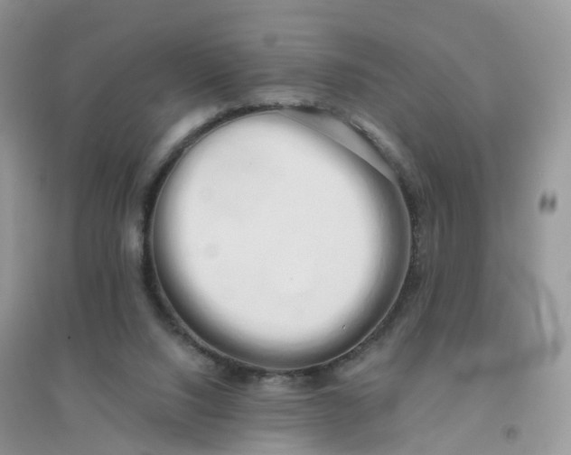 X0000096160064200802011305