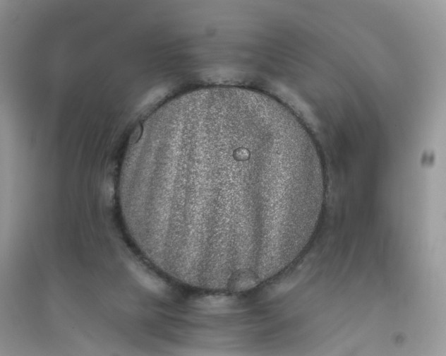 X0000096160065200802011305