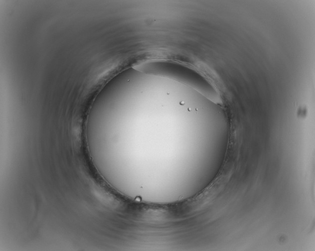 X0000096160066200802011305