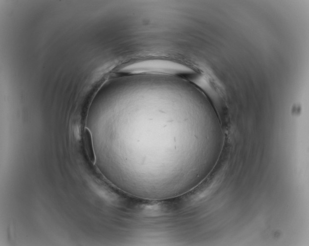 X0000096160068200802011305