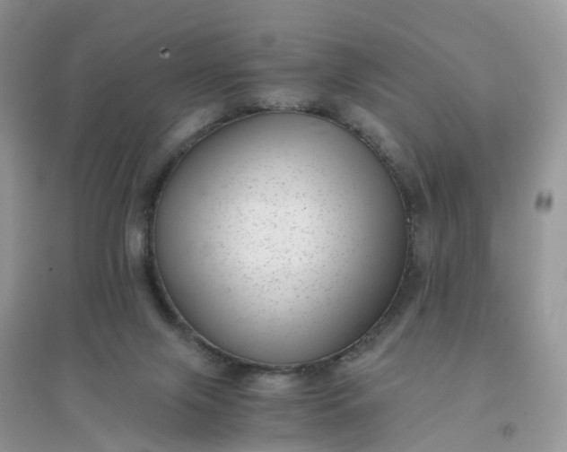 X0000096160071200802011305