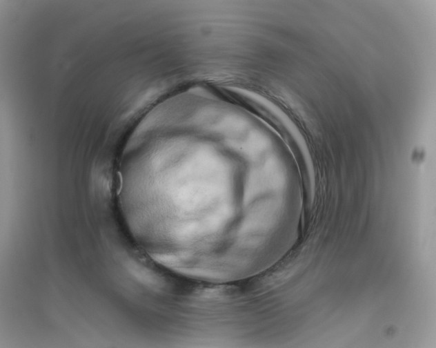 X0000096160072200802011305