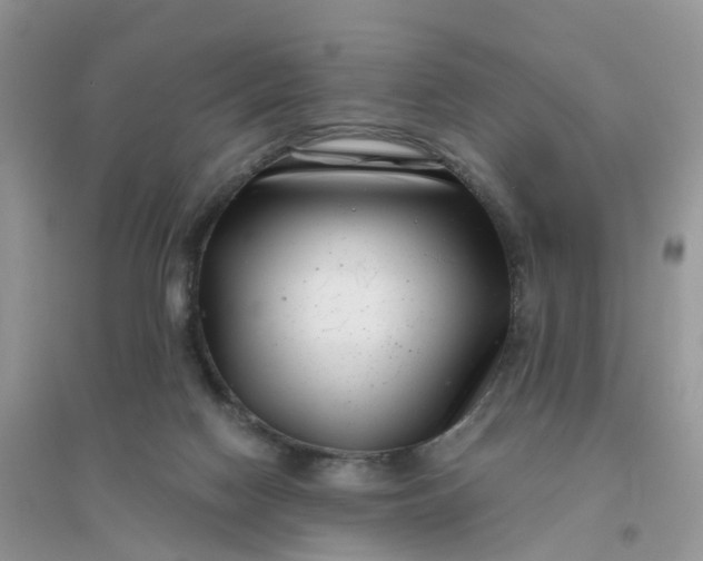 X0000096160074200802011305