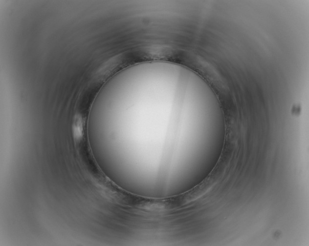 X0000096160075200802011305