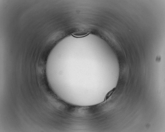 X0000096160078200802011305