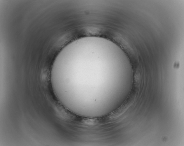 X0000096160079200802011305