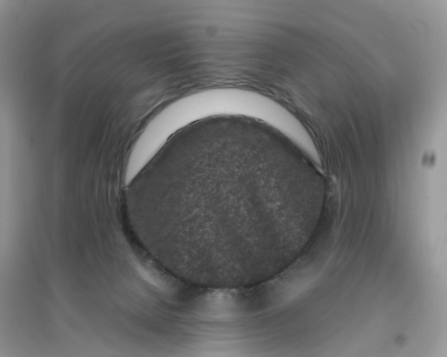 X0000096160080200802011305