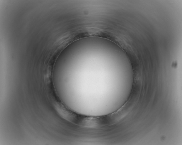 X0000096160082200802011305