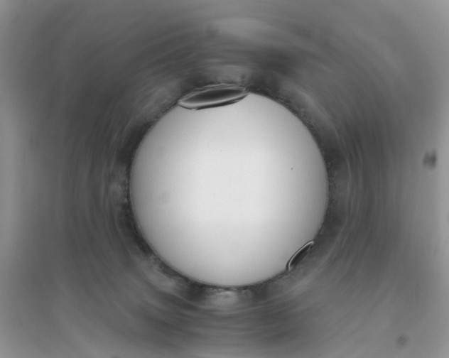 X0000096160083200802011305