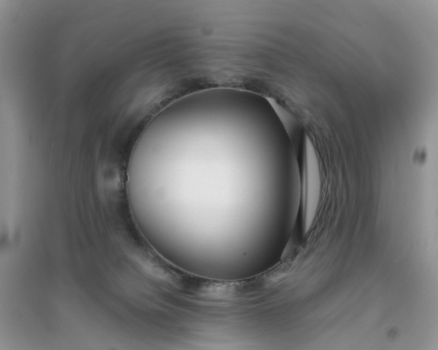 X0000096160084200802011305