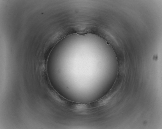 X0000096160085200802011305