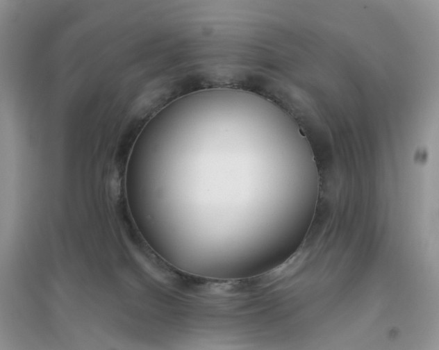 X0000096160086200802011305