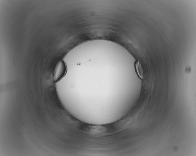 X0000096160087200802011305