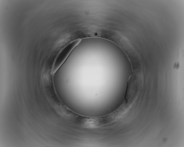 X0000096160088200802011305