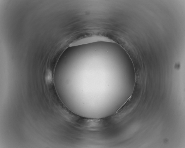 X0000096160089200802011305