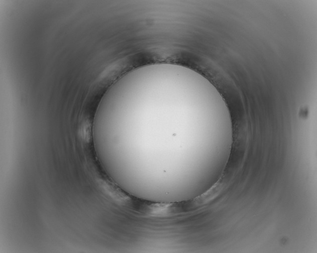 X0000096160090200802011305