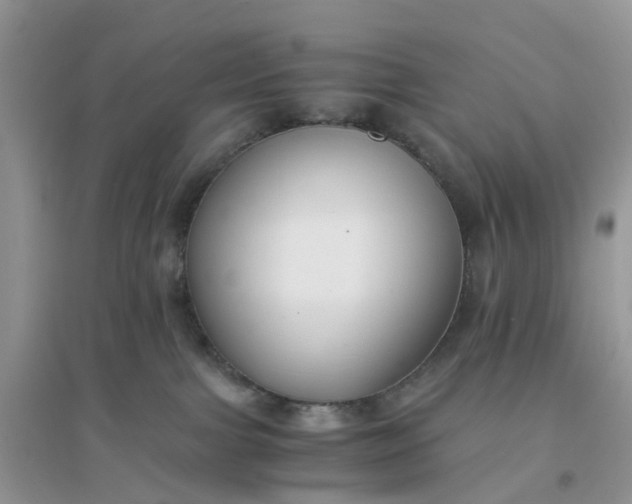 X0000096160091200802011305