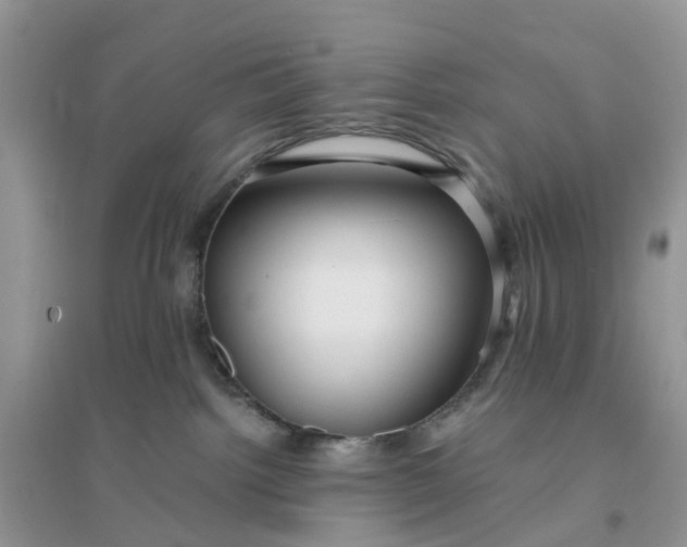 X0000096160092200802011305