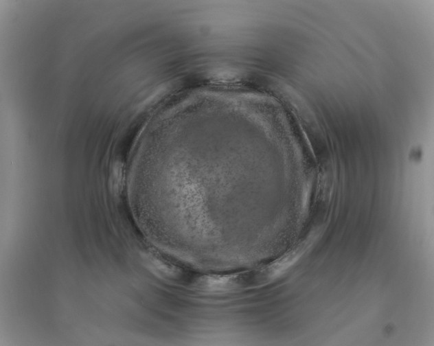 X0000096160093200802011305