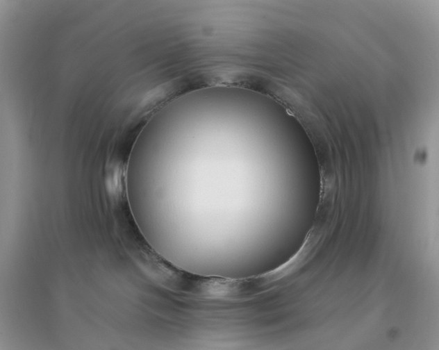 X0000096160094200802011305