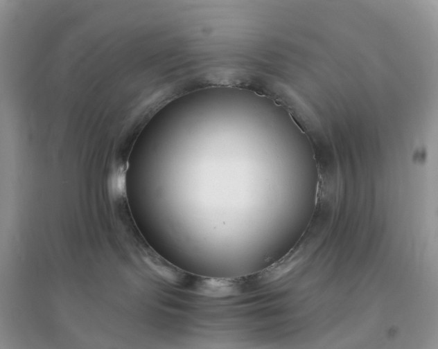 X0000096160095200802011305