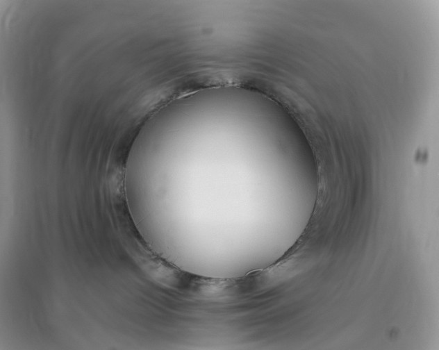 X0000096160096200802011305