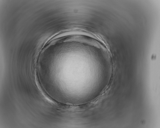 X0000096160097200802011305