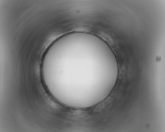 X0000096160098200802011305