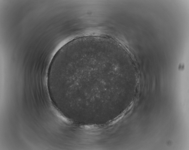 X0000096160100200802011305