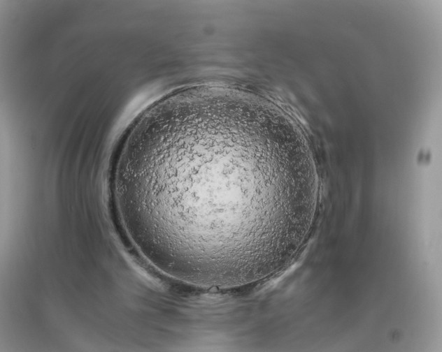 X0000096160101200802011305