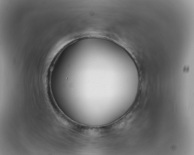 X0000096160103200802011305