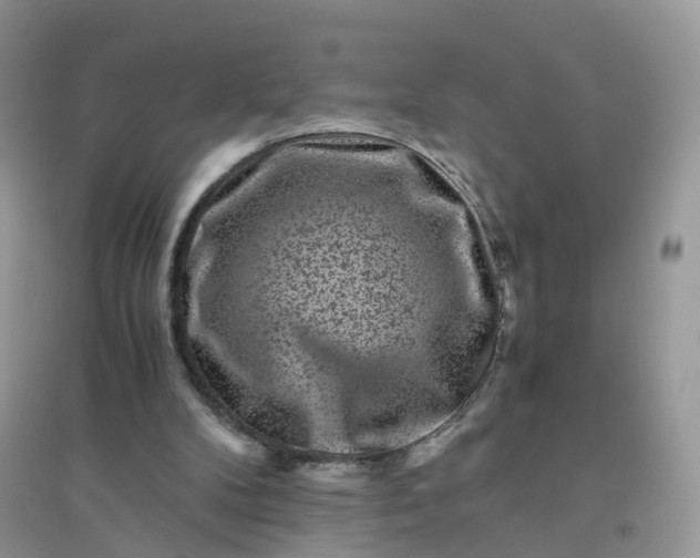 X0000096160104200802011305